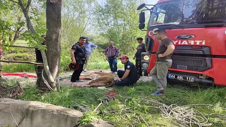 Kuyuya düşen ineği itfaiye kurtardı