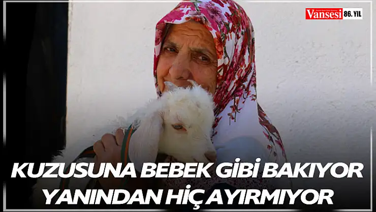 Kuzusuna bebek gibi bakıyor, yanından hiç ayırmıyor