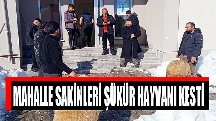Mahalle sakinleri şükür hayvanı kesti