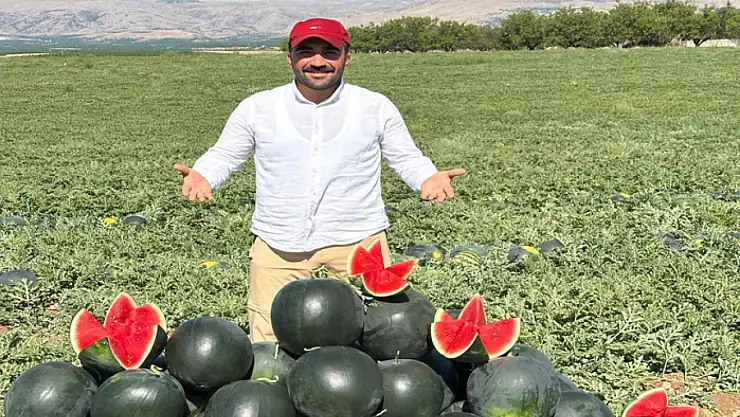 Malatya'da karpuz ve kavun hasadı yüz güldürüyor