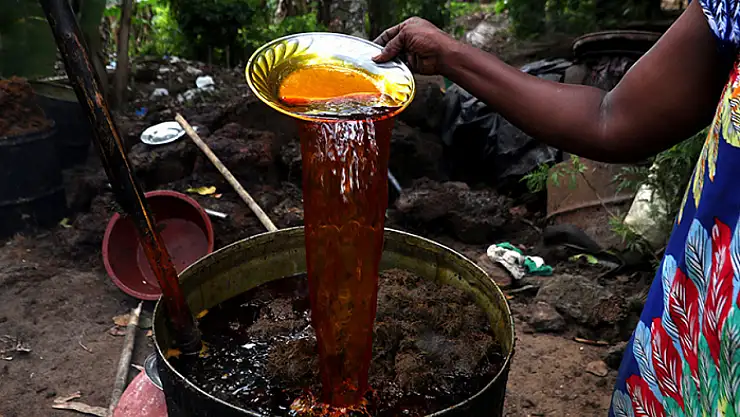Malezya ile ABD arasında palm yağı savaşı