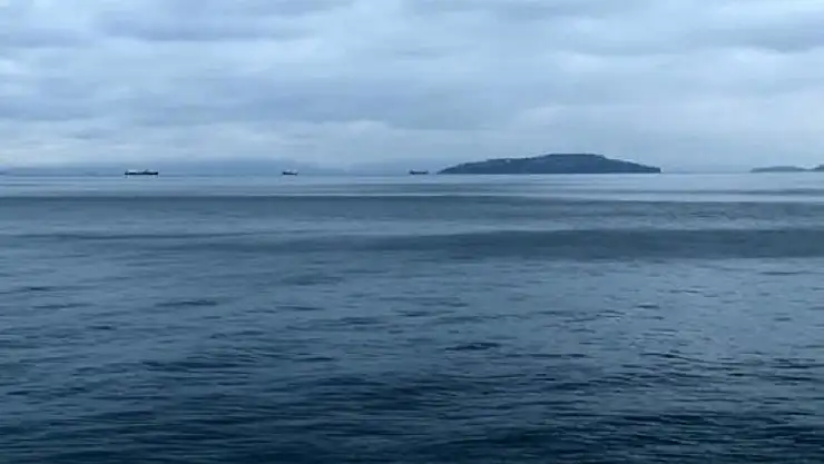 Marmara'daki depremde denizdeki hareketlilik tedirgin etti