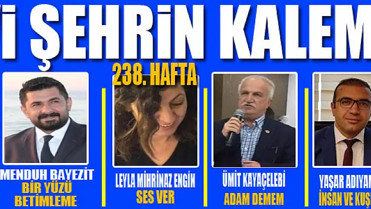 Mavi Şehrin Kalemleri