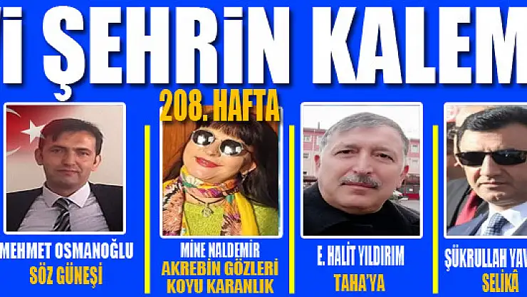 Mavi Şehrin Kalemleri