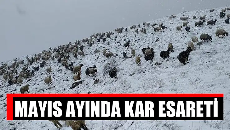 Mayıs ayında kar esareti