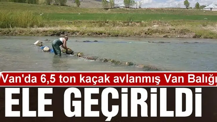 Van'da 6,5 ton kaçak avlanmış Van Balığı ele geçirildi