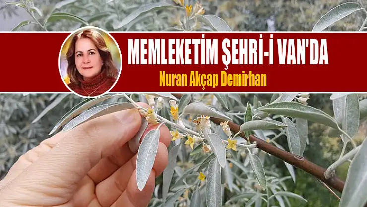 Memleketim Şehri-İ Van'da