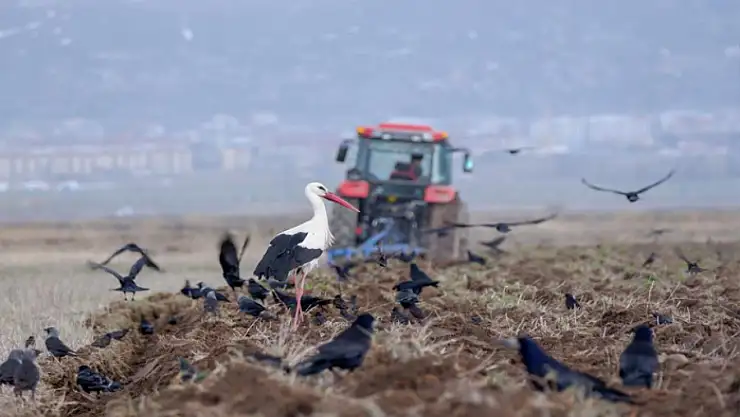 Meteorolojiden zirai don uyarısı