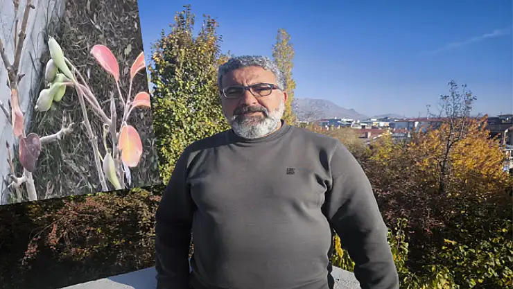 Armut ağacı meyve verdi