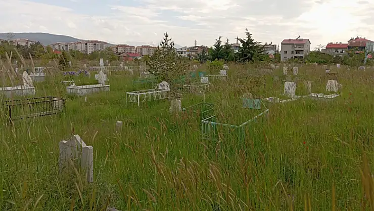 Mezarlıkların bakımlarının yapılması isteniyor