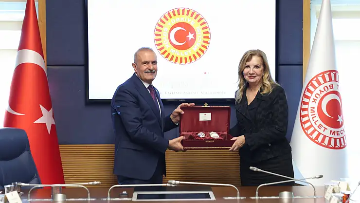 Milletvekili Kayatürk: KKTC'yi her platformda destekleyeceğiz!