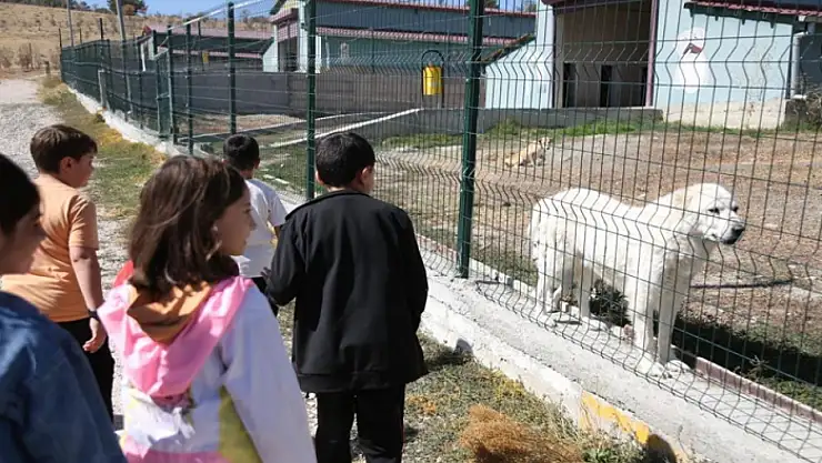 Minik öğrenciler can dostları ziyaret etti