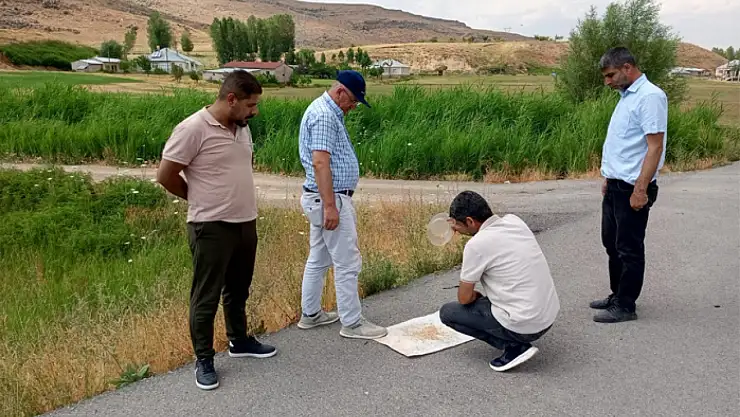 Muradiye'de 2025 yılı tarım verimi değerlendirildi