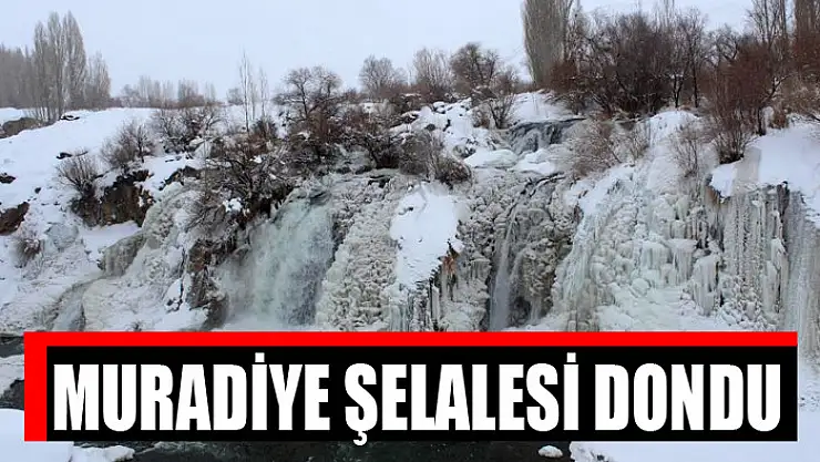 Muradiye Şelalesi dondu