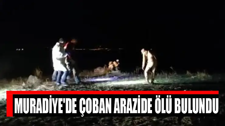 Muradiye'de çoban arazide ölü bulundu