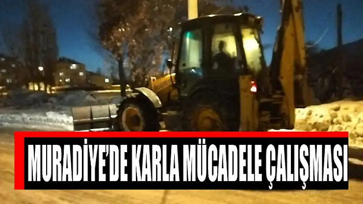 Muradiye'de karla mücadele çalışması