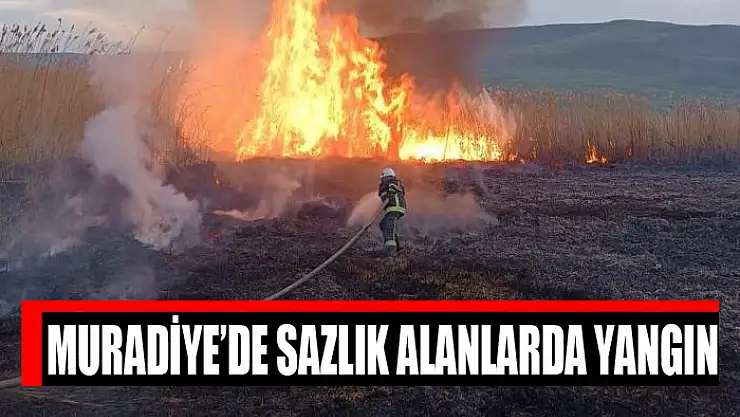 Muradiye'de sazlık alanlarda yangın