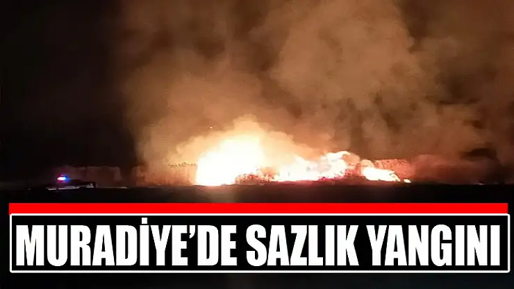 Muradiye'de sazlık yangını