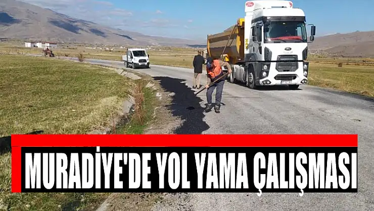Muradiye'de yol yama çalışması