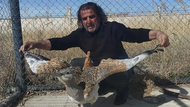 Nesli tükenme tehlikesi altındaki toy kuşu sağlığına kavuşuyor