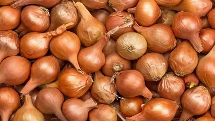 Nisan ayında markette fiyatı en fazla artan ürün kuru soğan oldu
