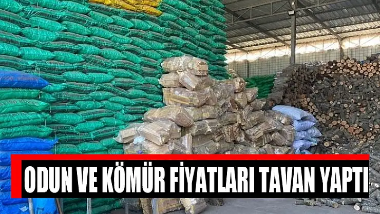 Odun ve kömür fiyatları tavan yaptı