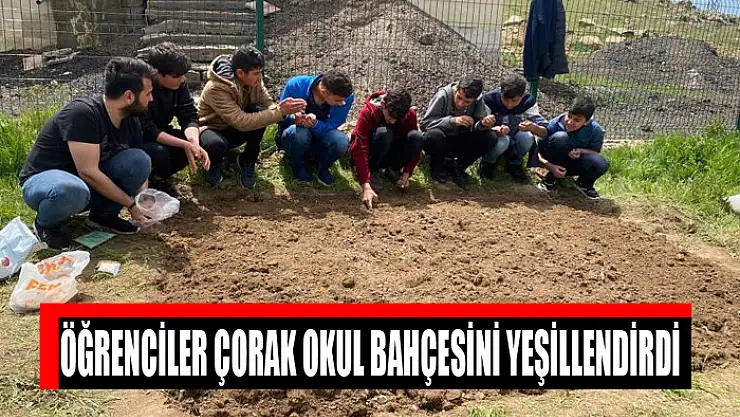 Öğrenciler çorak okul bahçesini yeşillendirdi