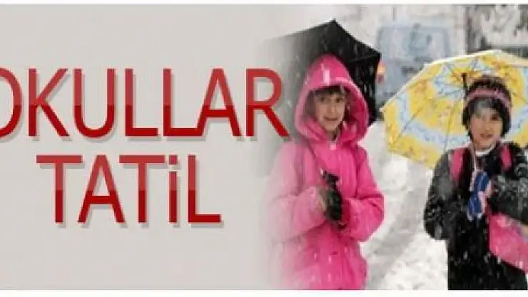 VAN'DA OKULLAR TATİL