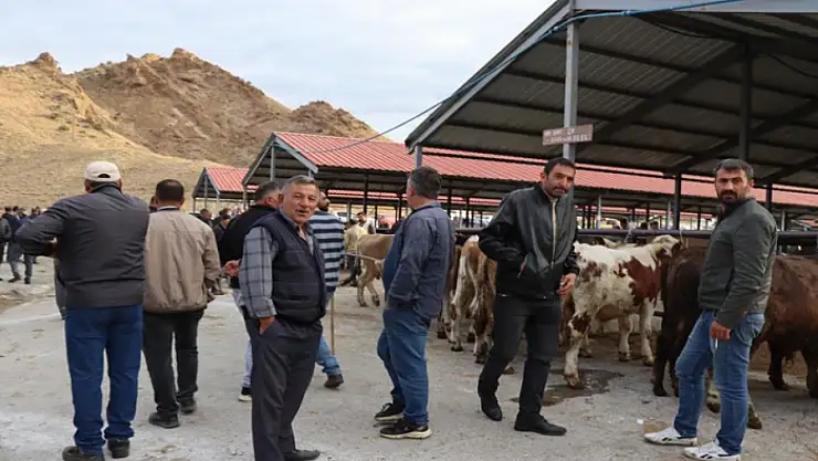 Oltu canlı hayvan pazarı şap hastalığı sonrası eski canlılığına kavuştu