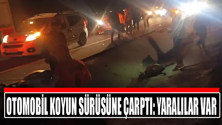 Otomobil koyun sürüsüne çarptı: Yaralılar var
