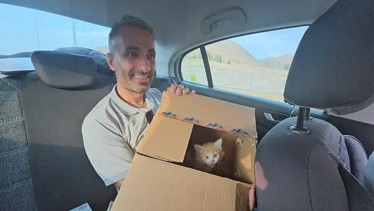 Otomobilin motor bölmesine giren yavru kedi 3 şehir gezdi