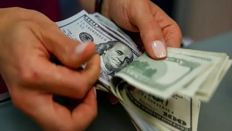 Özel sektörün yurt dışı kredi 394 milyon dolar azaldı