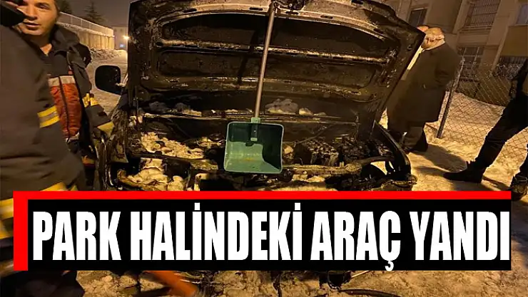 Park halindeki araç yandı
