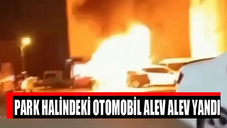 Park halindeki otomobil alev alev yandı