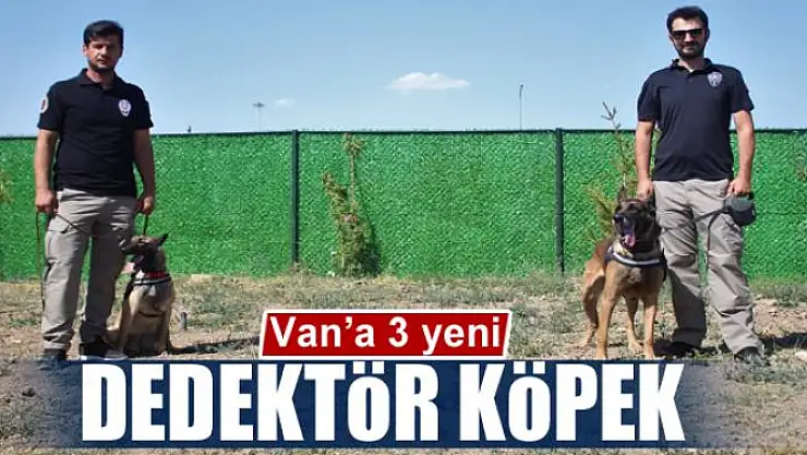 Van'a 3 yeni dedektör köpek