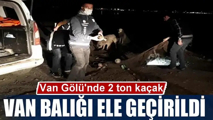 Van Gölü'nde 2 ton kaçak Van Balığı ele geçirildi