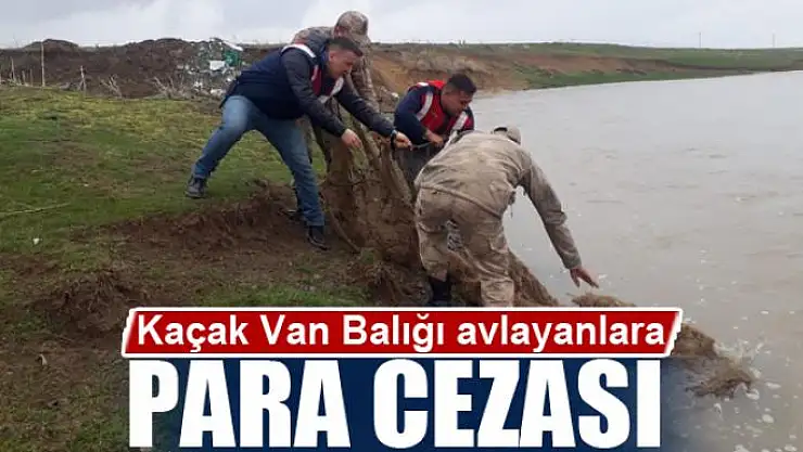 Kaçak Van Balığı avlayanlara para cezası