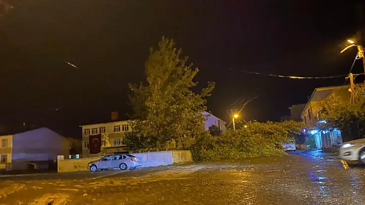 Rüzgarın kökünden söktüğü ağaç otomobilin üzerine devrildi