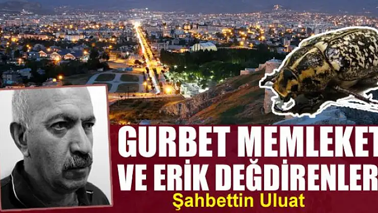 Gurbet memleket ve Erik Değdirenler