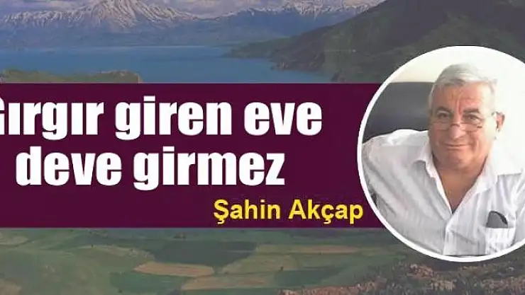 Gırgır giren eve deve girmez