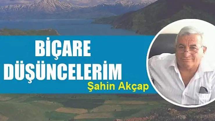 Biçare düşüncelerim