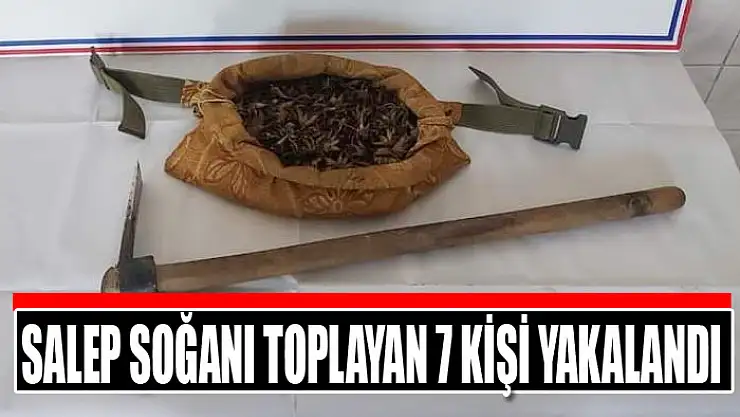 Salep soğanı toplayan 7 kişi yakalandı