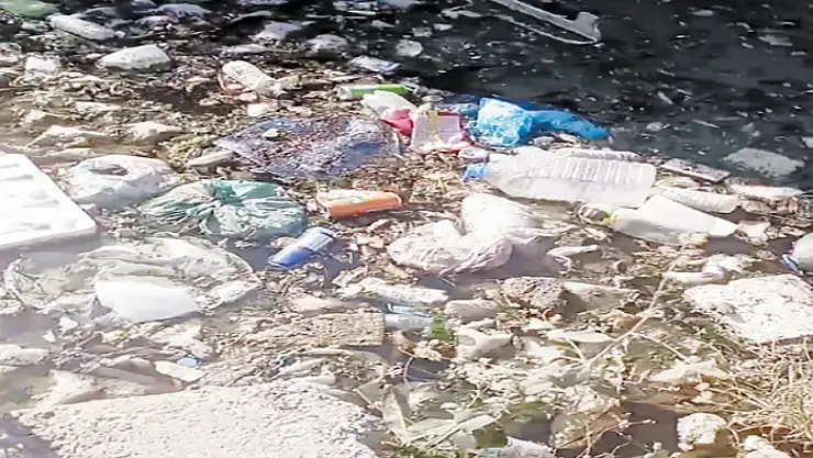 Şamran Kanalı'nda biriken çöpler sağlığı tehdit ediyor