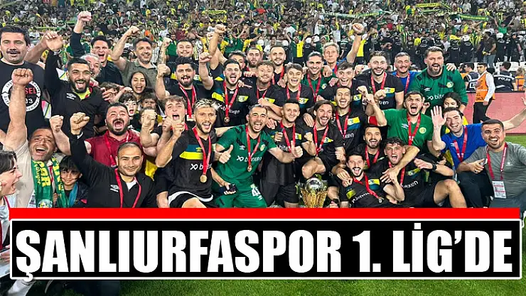 Şanlıurfaspor 1. Lig'de