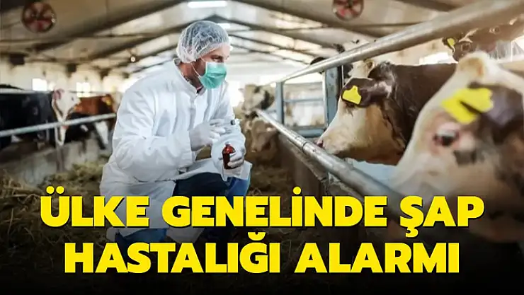 Şap hastalığı nedeniyle ülke genelinde tedbir alındı