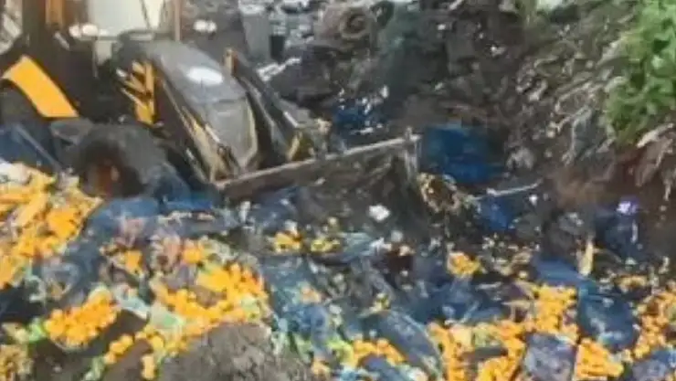 Sarp Sınır Kapısı'nda 6 ton mandalina imha edildi