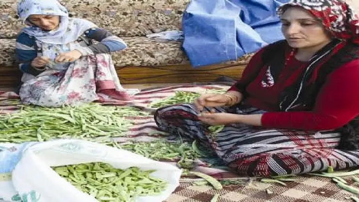 KADINLARIN KIŞ TELAŞI BAŞLADI