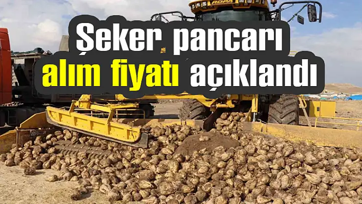 Şeker pancarı alım fiyatı açıklandı