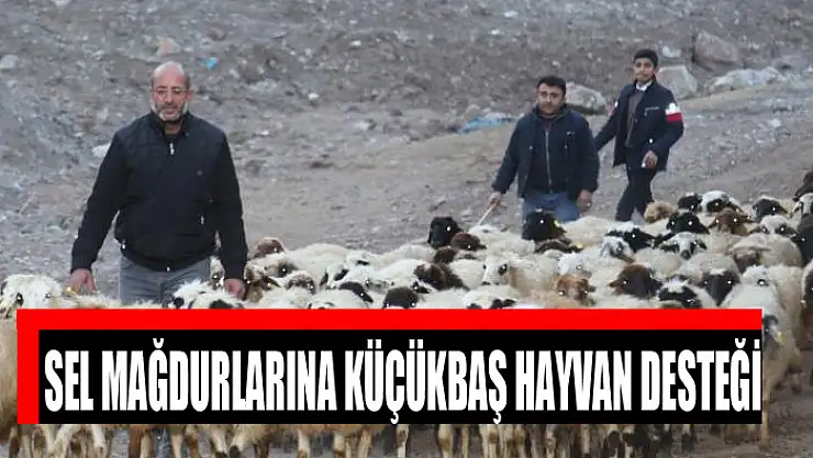 Sel mağdurlarına küçükbaş hayvan desteği