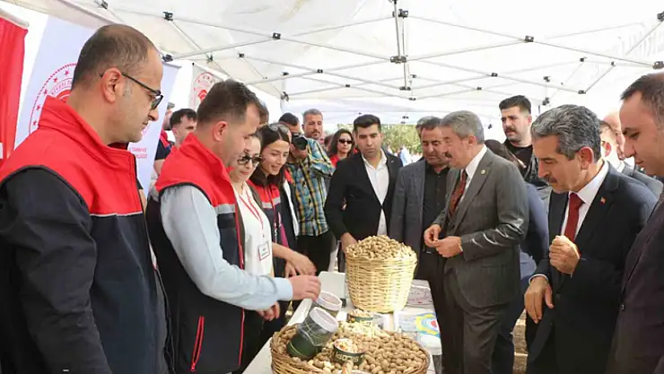 Şırnak'ta 25 bin ton yer fıstığı rekoltesi bekleniyor